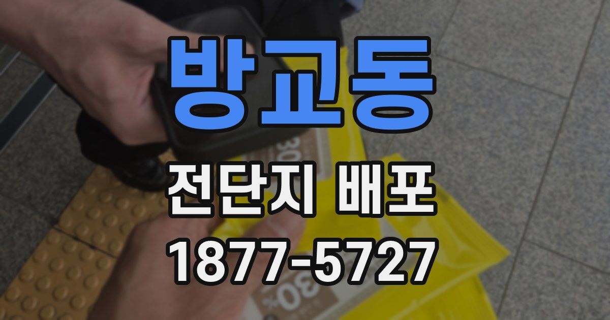 방교동 전단지 배포