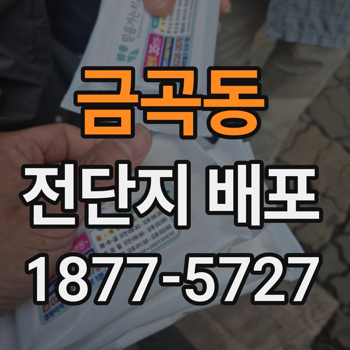 금곡동 전단지 배포