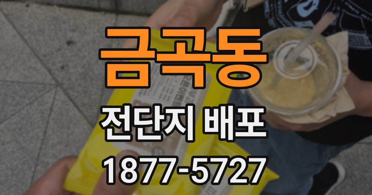 금곡동 전단지 배포