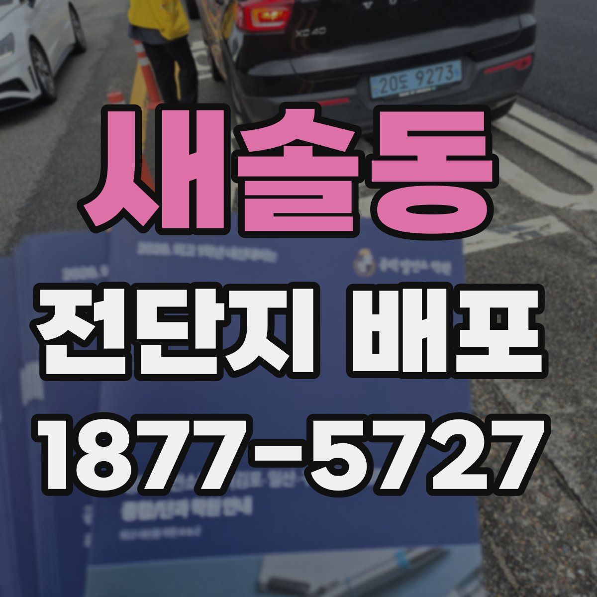 새솔동 전단지 배포