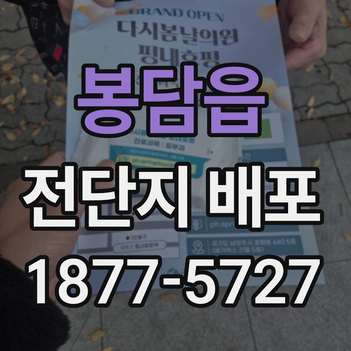 봉담읍 전단지 배포
