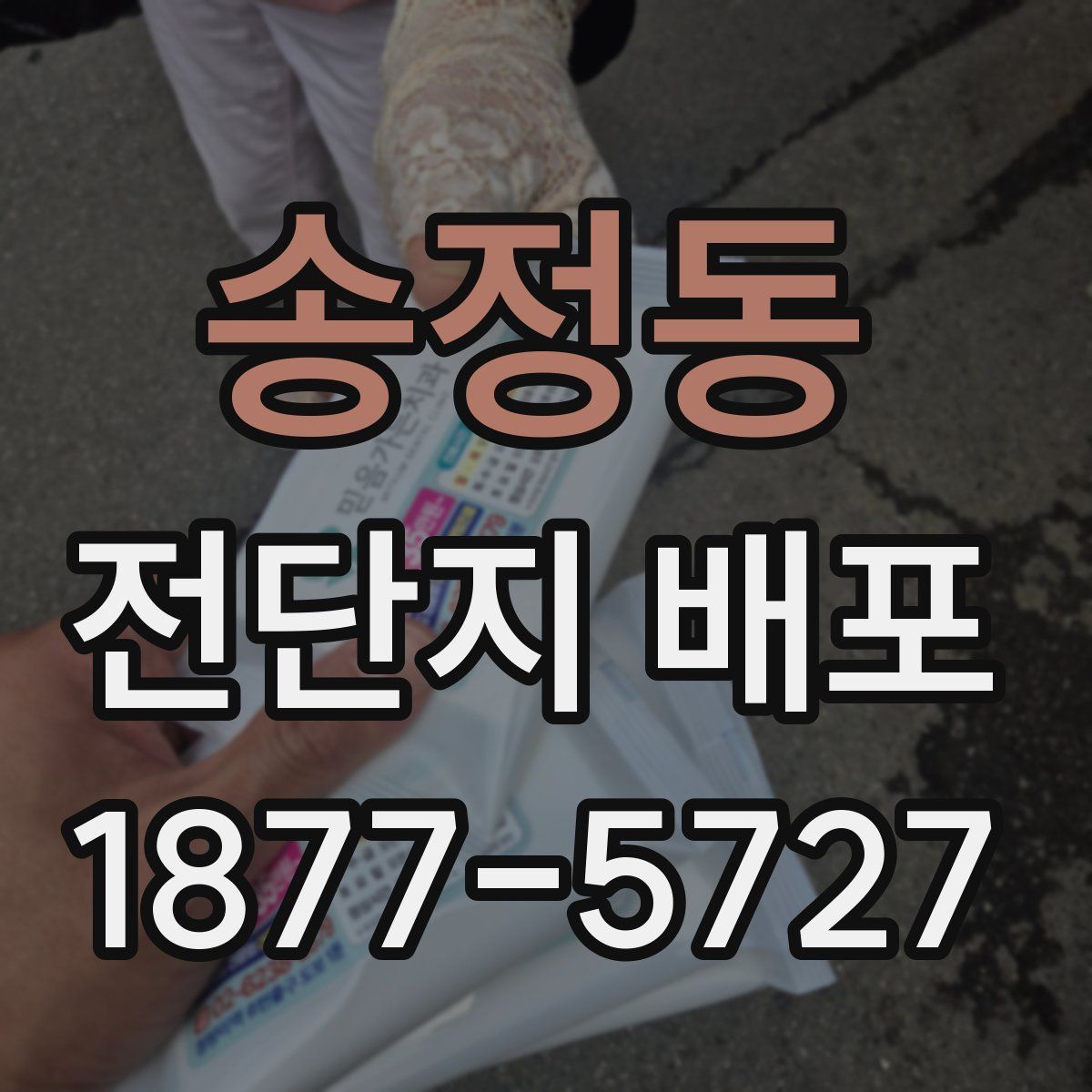 송정동 전단지 배포
