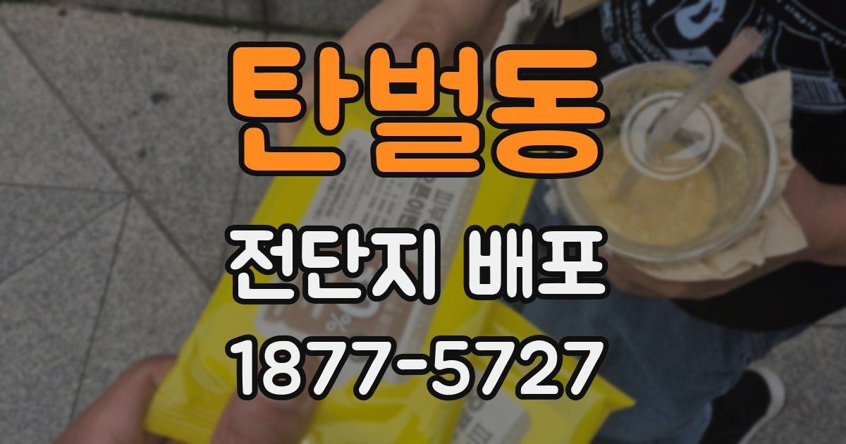 탄벌동 전단지 배포
