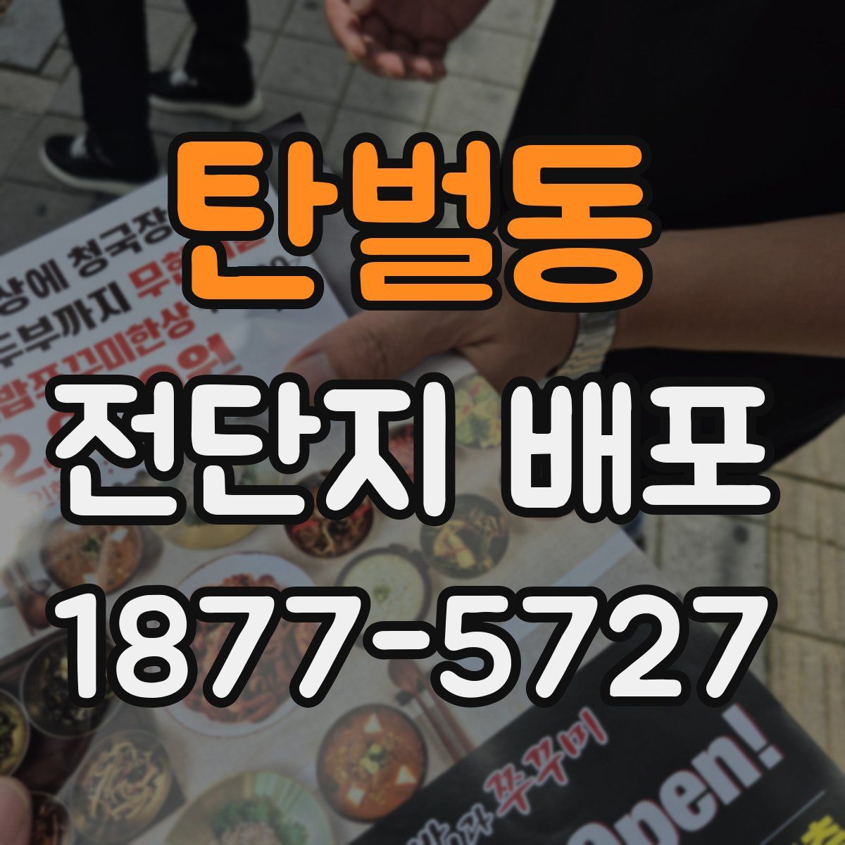 탄벌동 전단지 배포