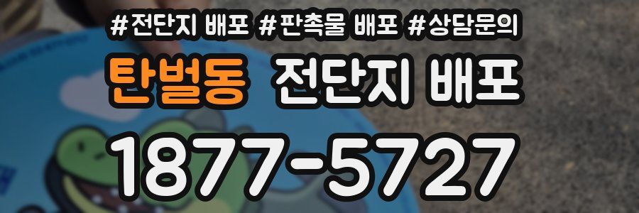 탄벌동 전단지 배포