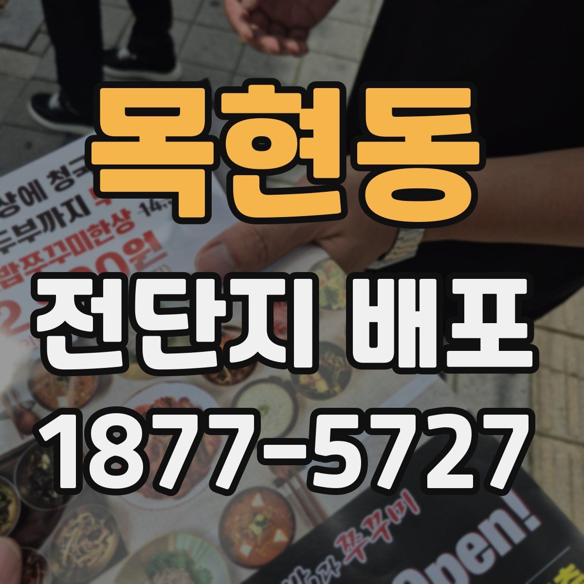 목현동 전단지 배포
