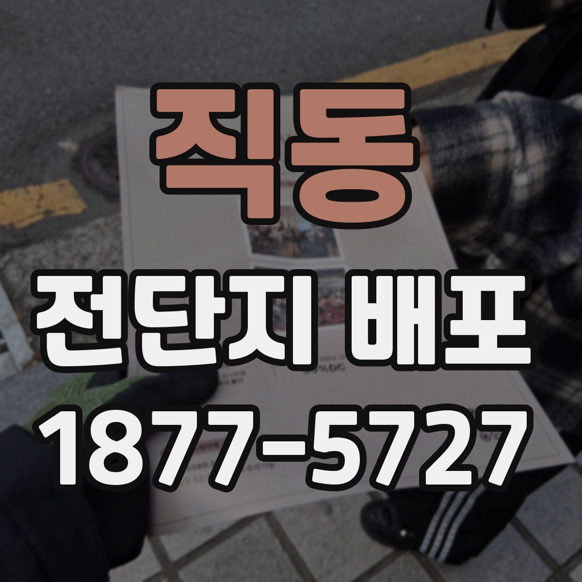 직동 전단지 배포