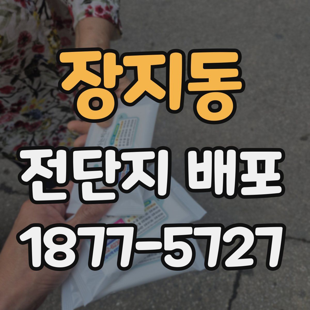 장지동 전단지 배포