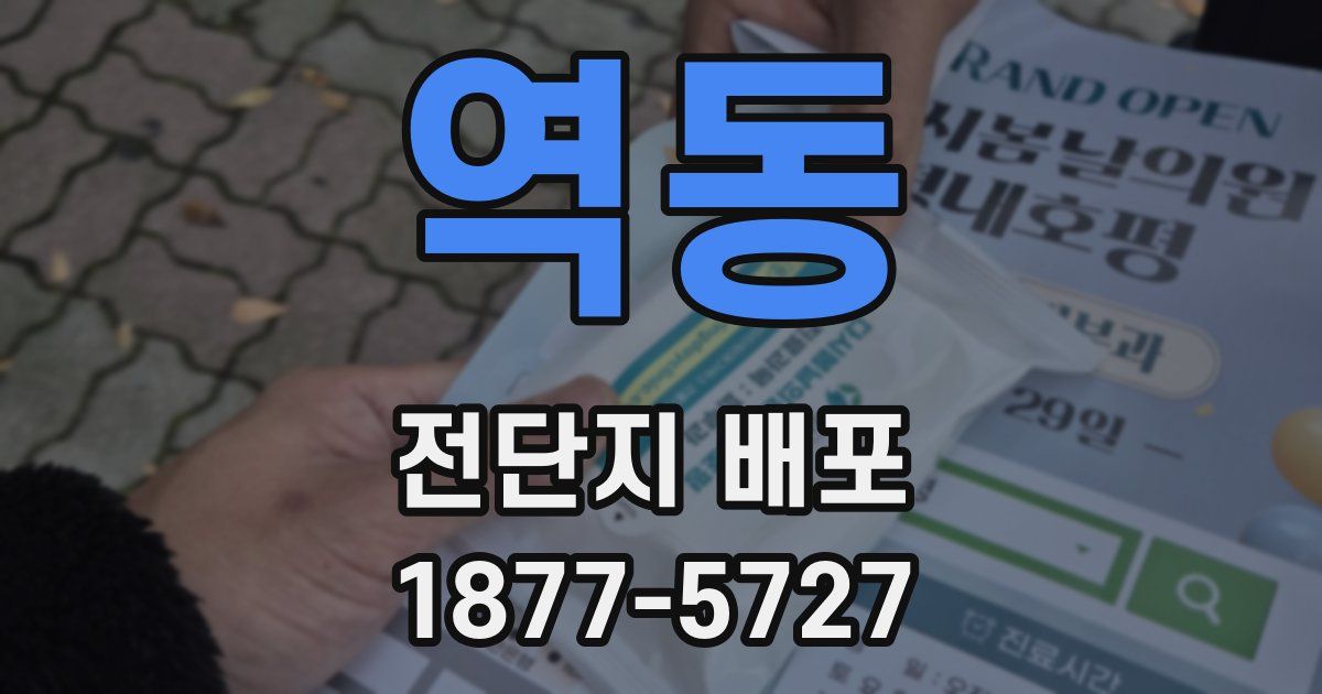 역동 전단지 배포