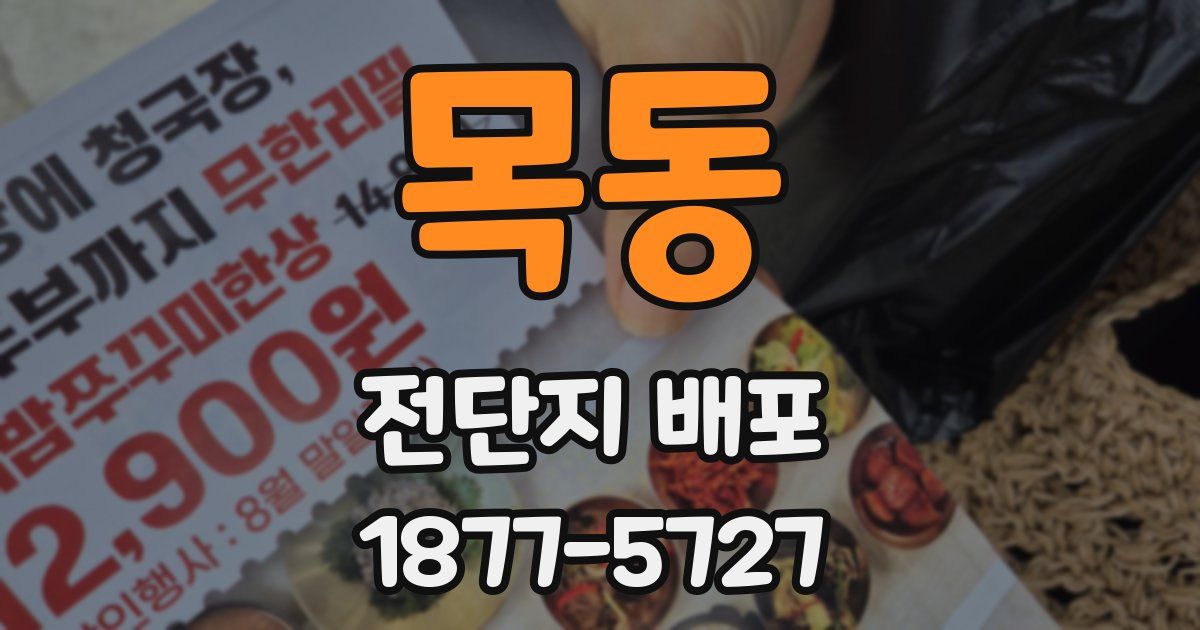 목동 전단지 배포