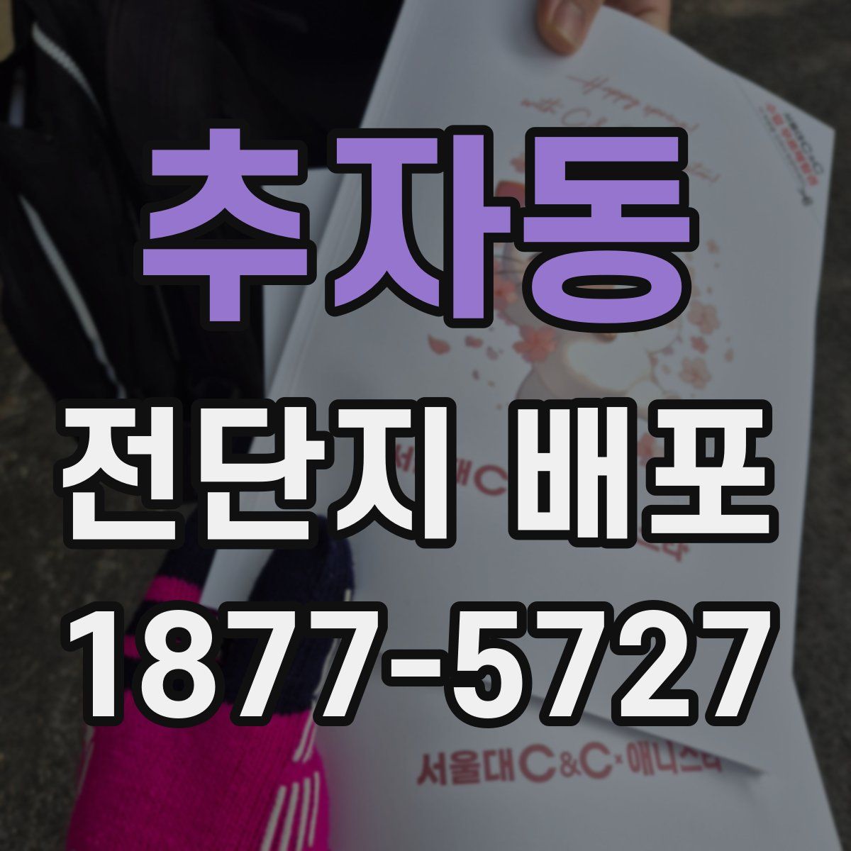 추자동 전단지 배포