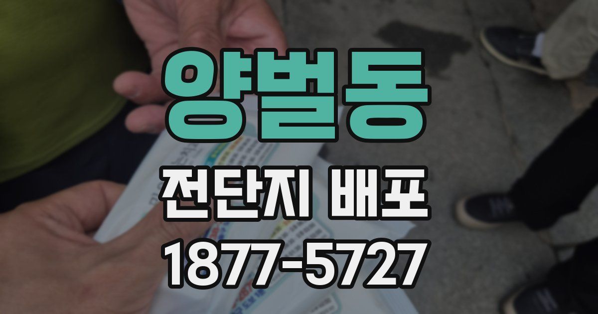양벌동 전단지 배포