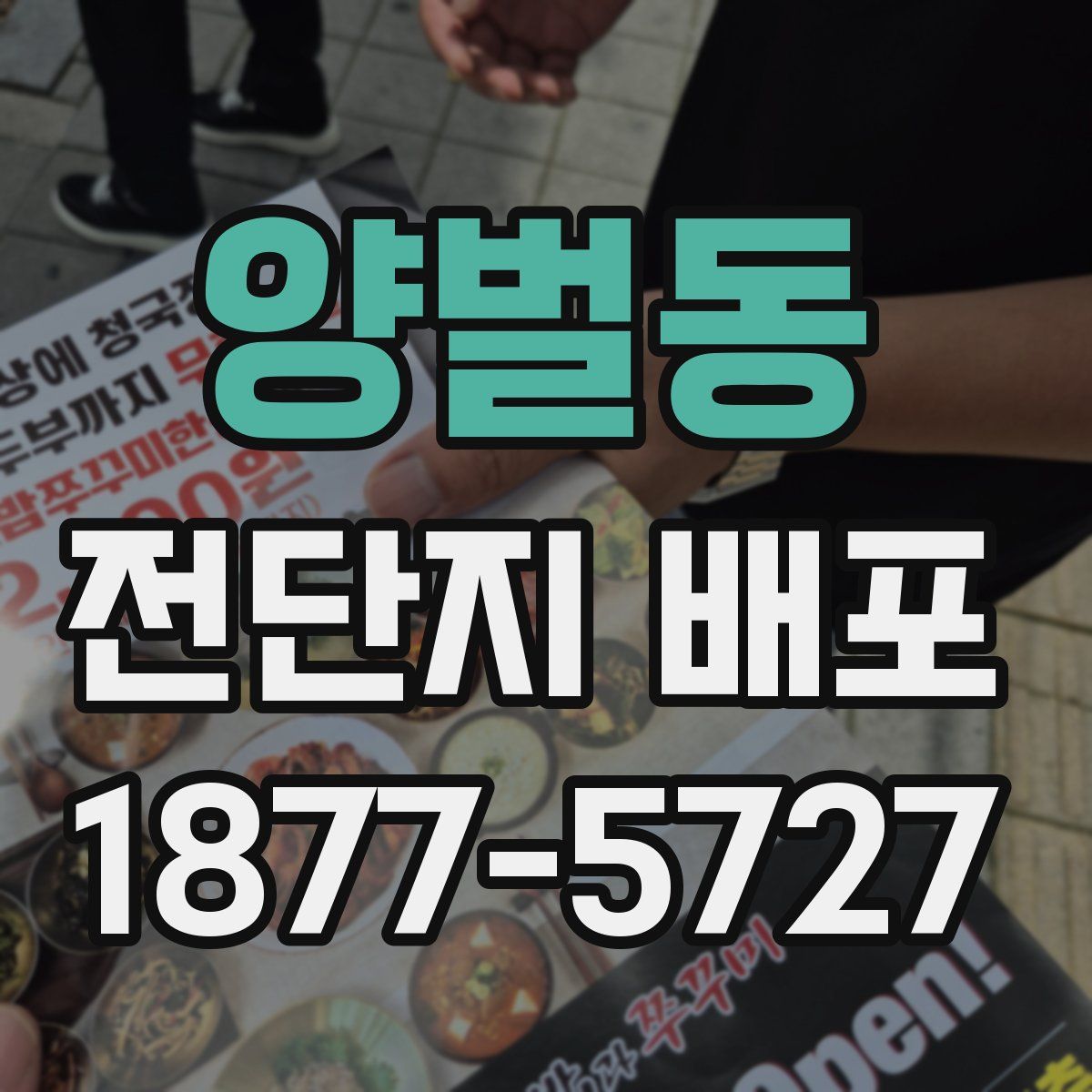 양벌동 전단지 배포
