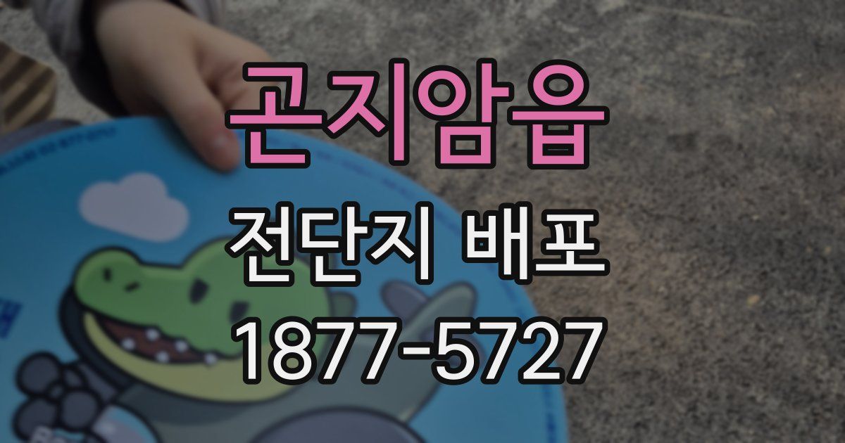 곤지암읍 전단지 배포