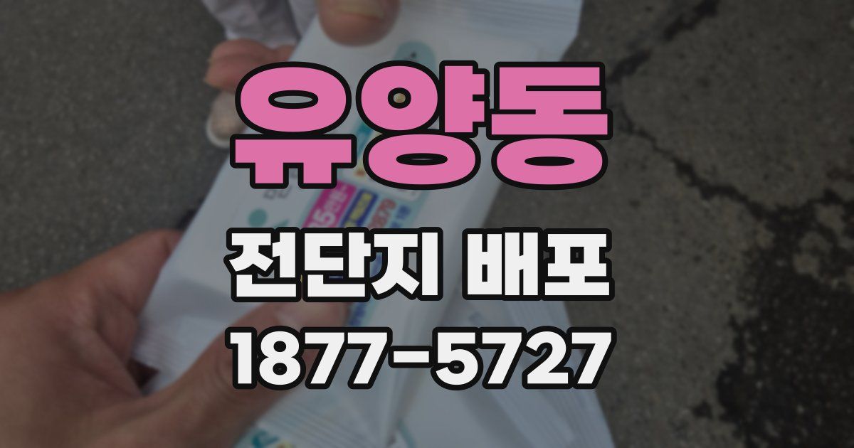 유양동 전단지 배포
