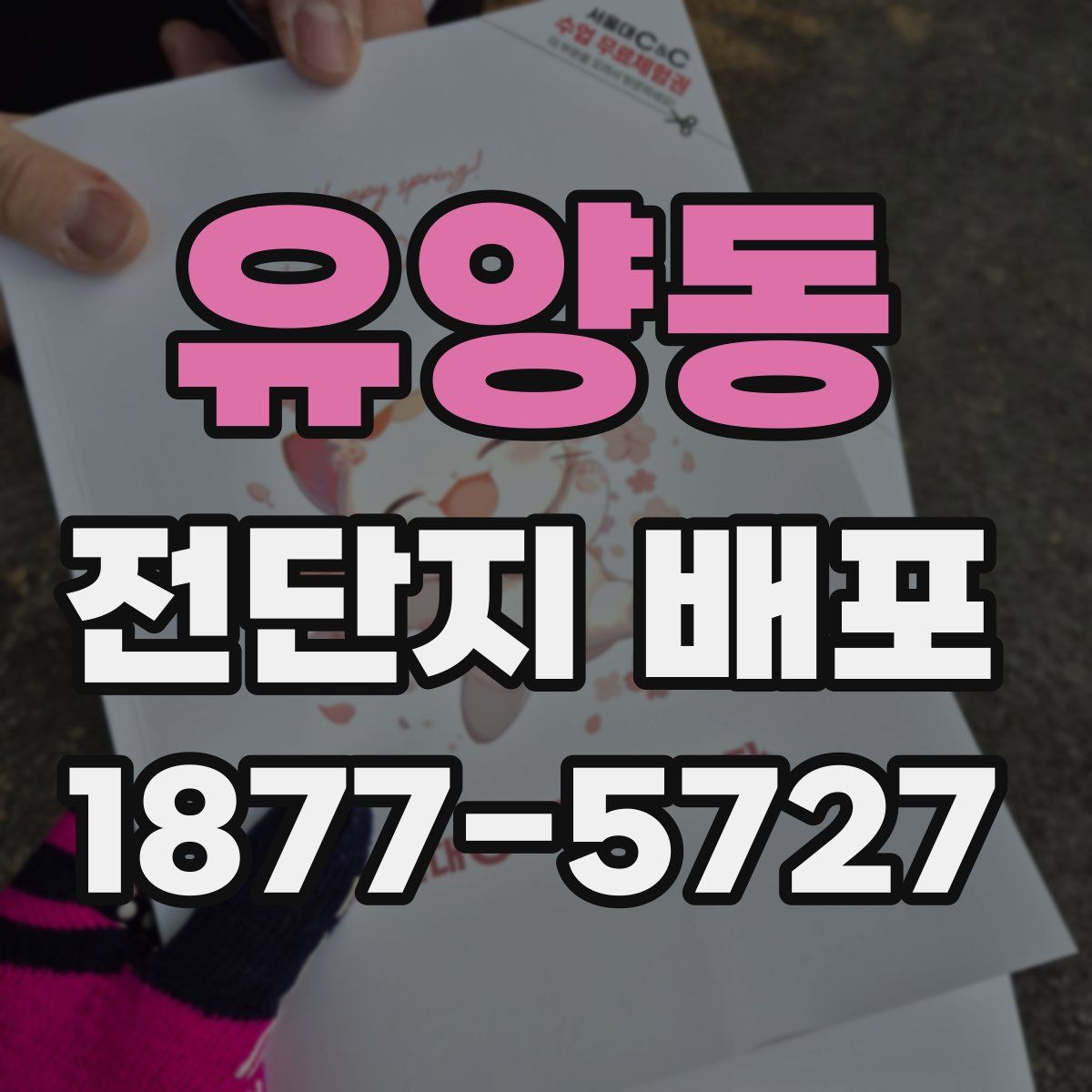 유양동 전단지 배포