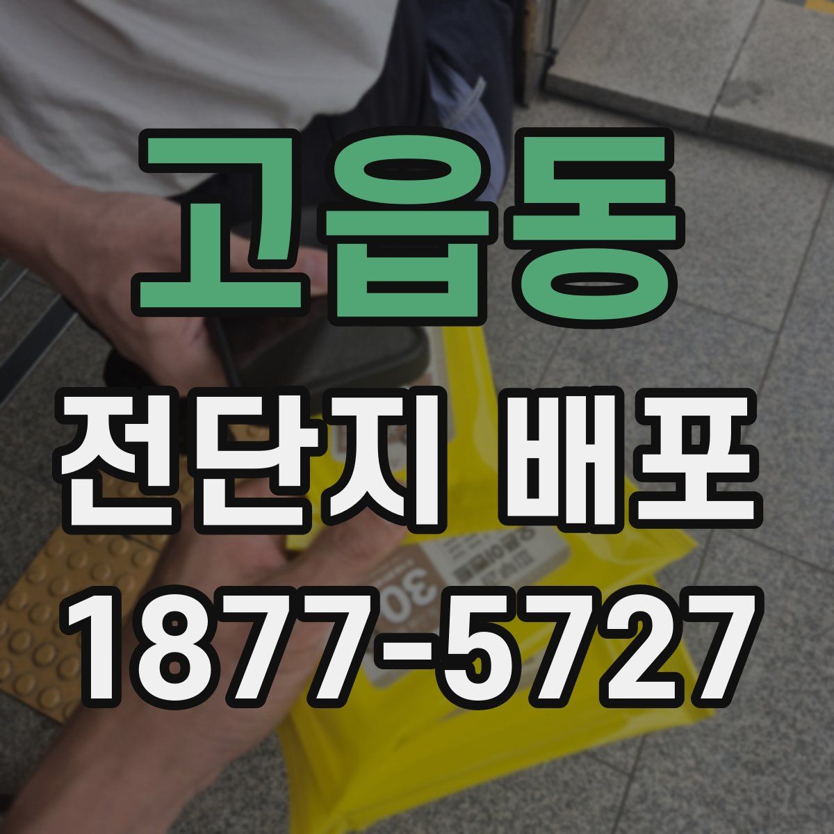 고읍동 전단지 배포