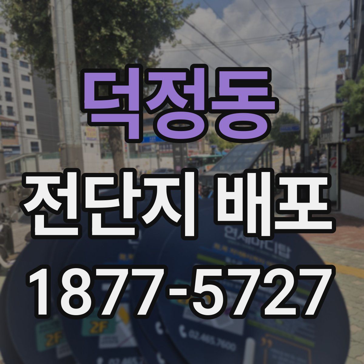 덕정동 전단지 배포