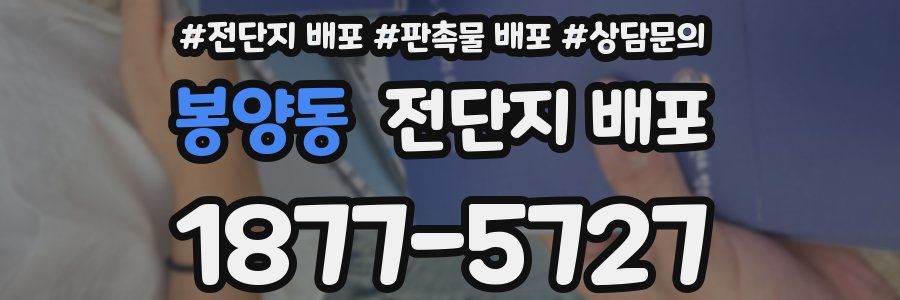 봉양동 전단지 배포