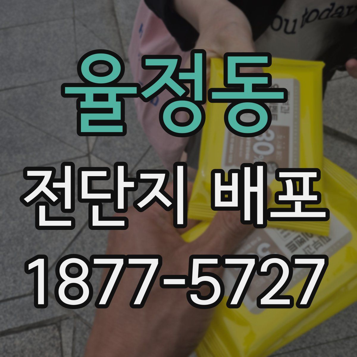 율정동 전단지 배포