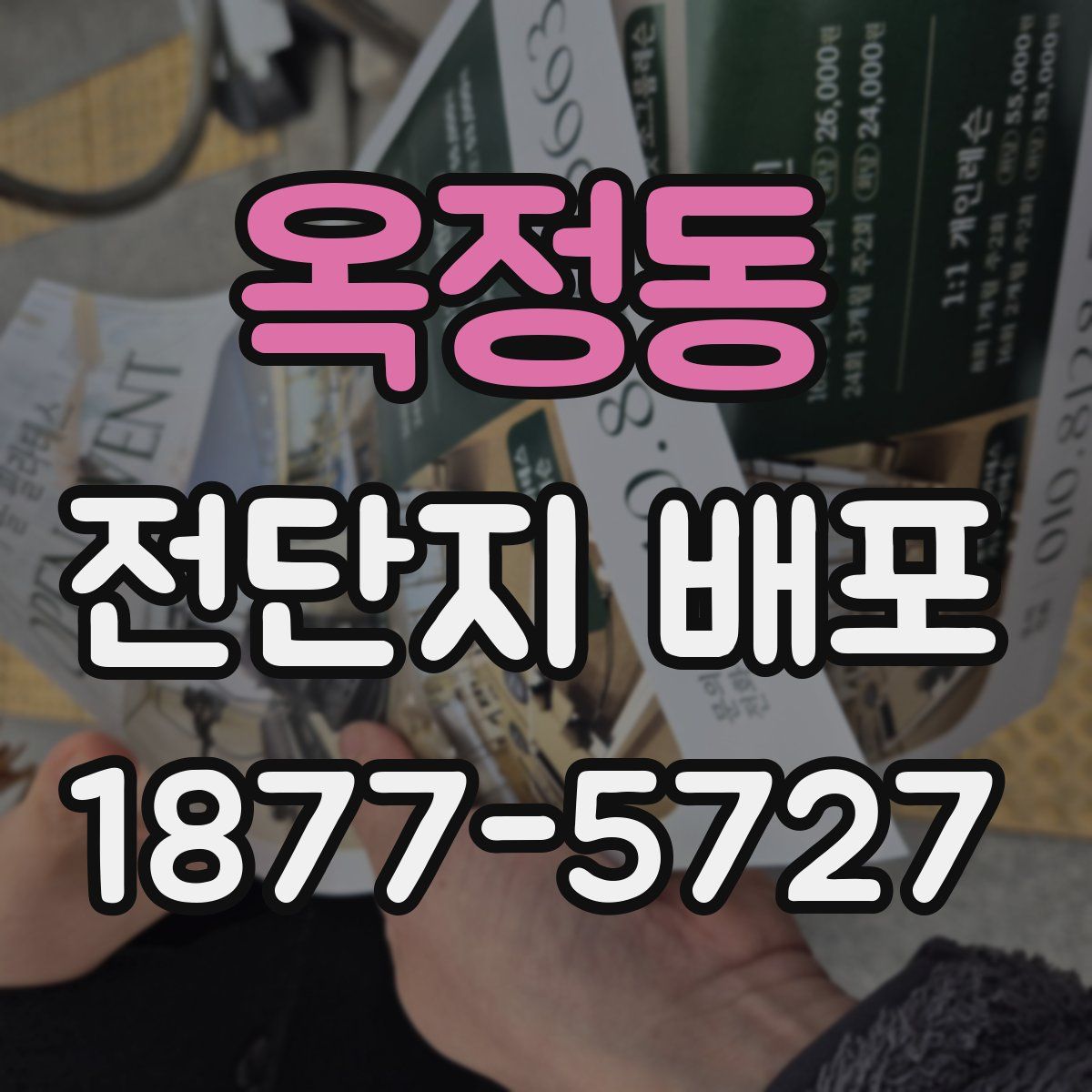 옥정동 전단지 배포