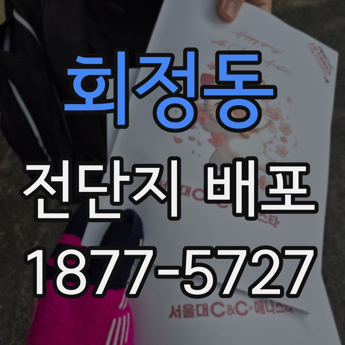 회정동 전단지 배포