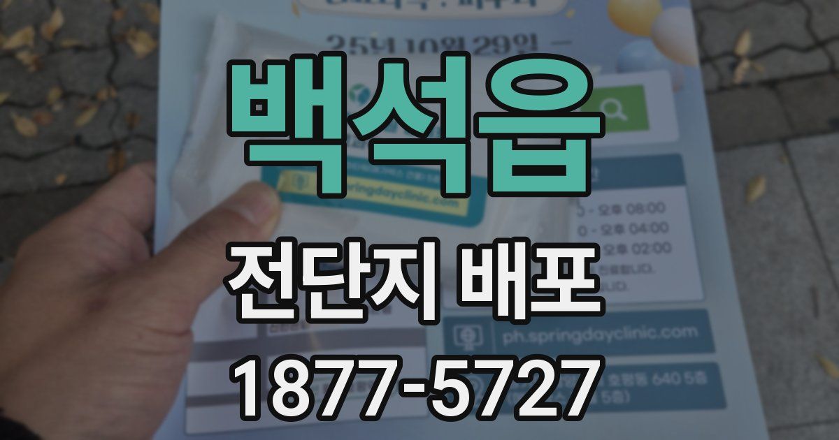 백석읍 전단지 배포
