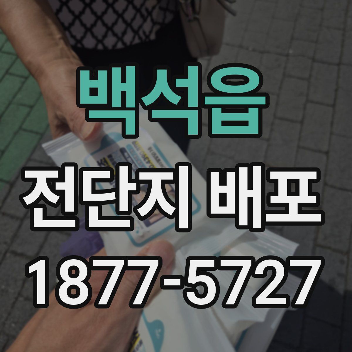 백석읍 전단지 배포