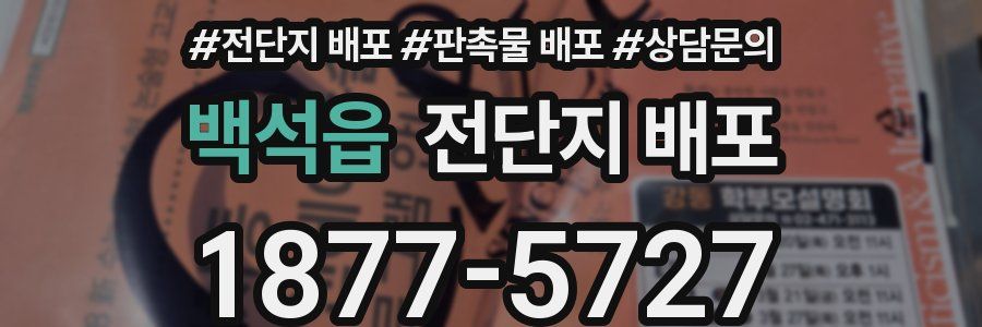 백석읍 전단지 배포