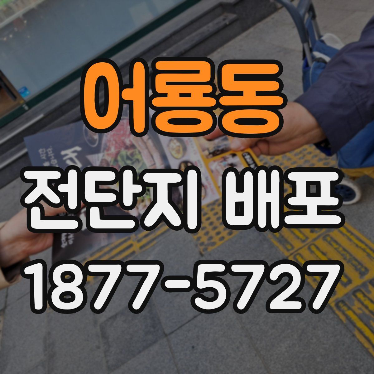 어룡동 전단지 배포