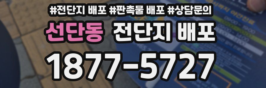 선단동 전단지 배포