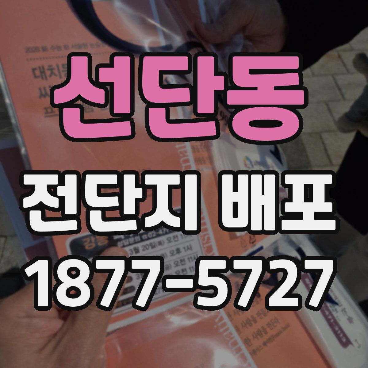 선단동 전단지 배포