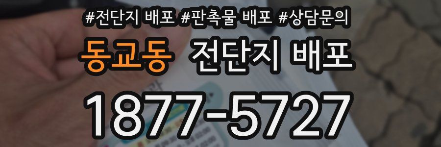 동교동 전단지 배포