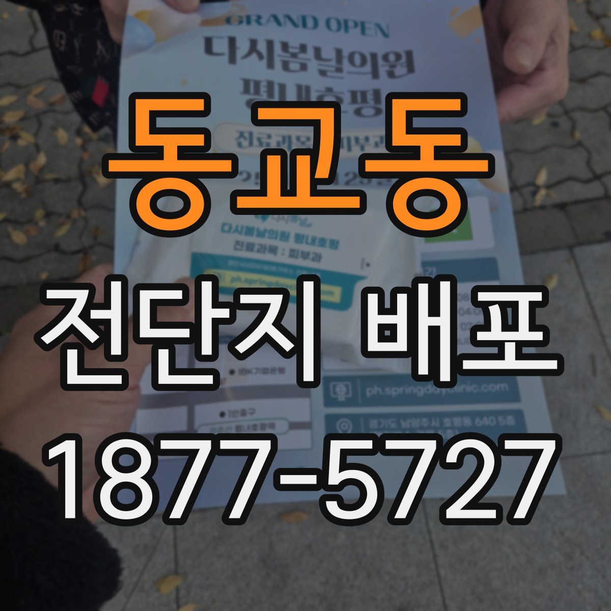 동교동 전단지 배포