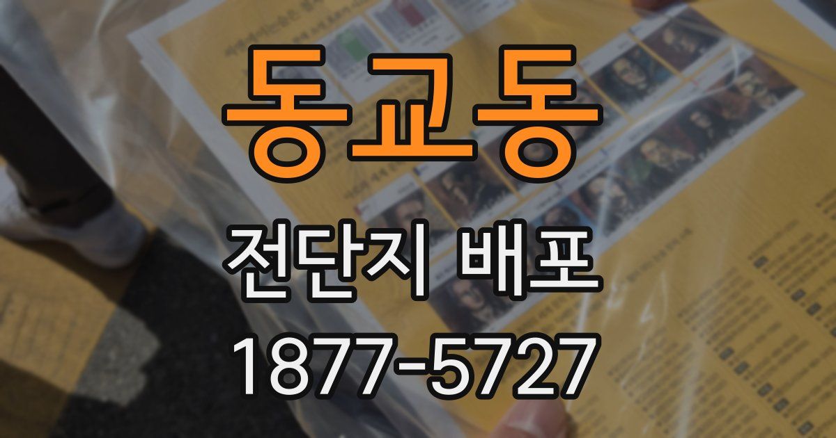 동교동 전단지 배포