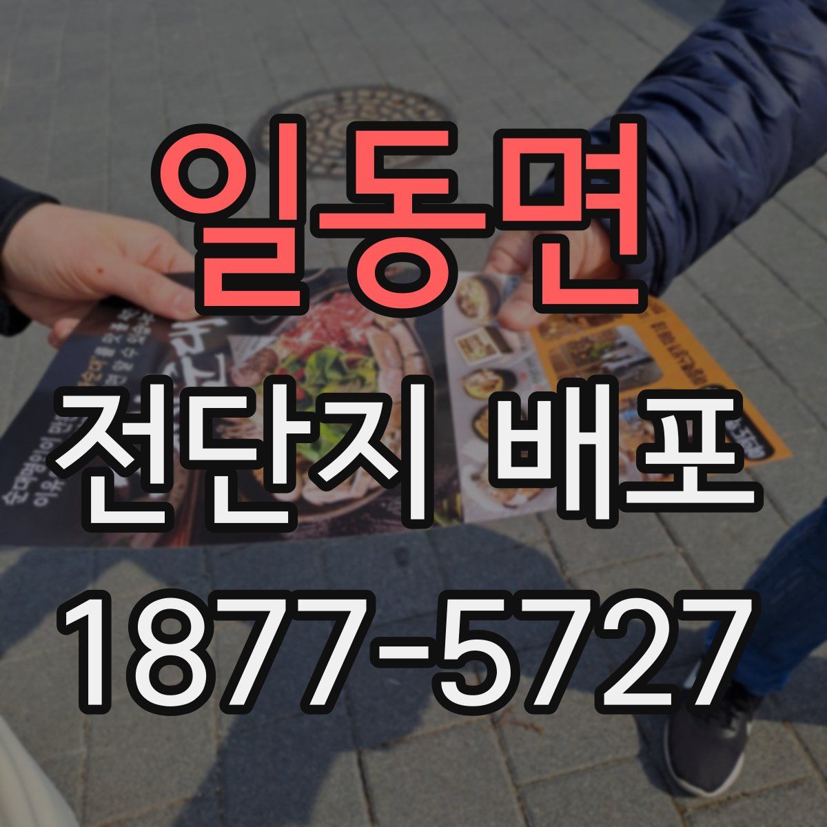 일동면 전단지 배포