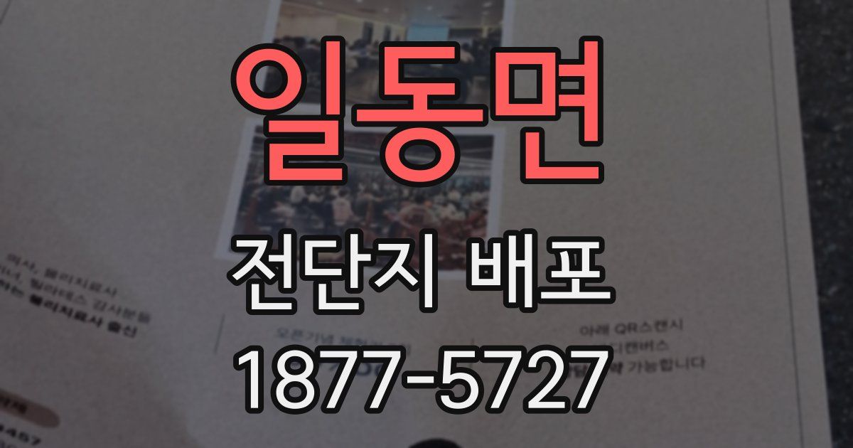 일동면 전단지 배포