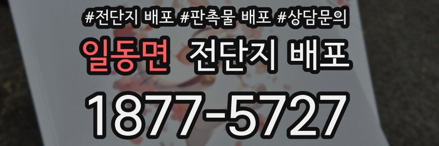 일동면 전단지 배포