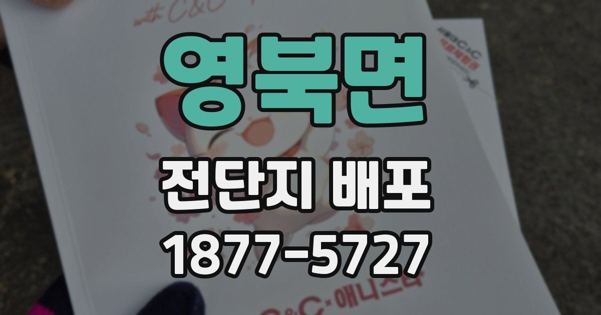 영북면 전단지 배포