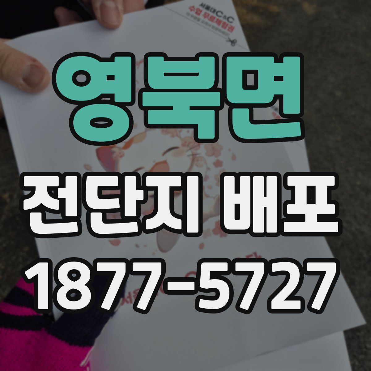 영북면 전단지 배포