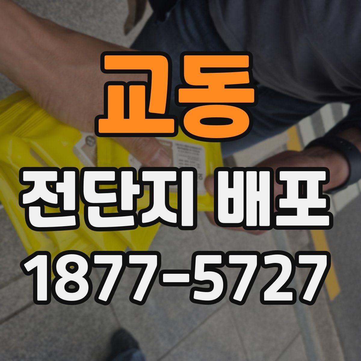 교동 전단지 배포