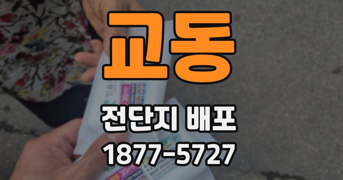 교동 전단지 배포