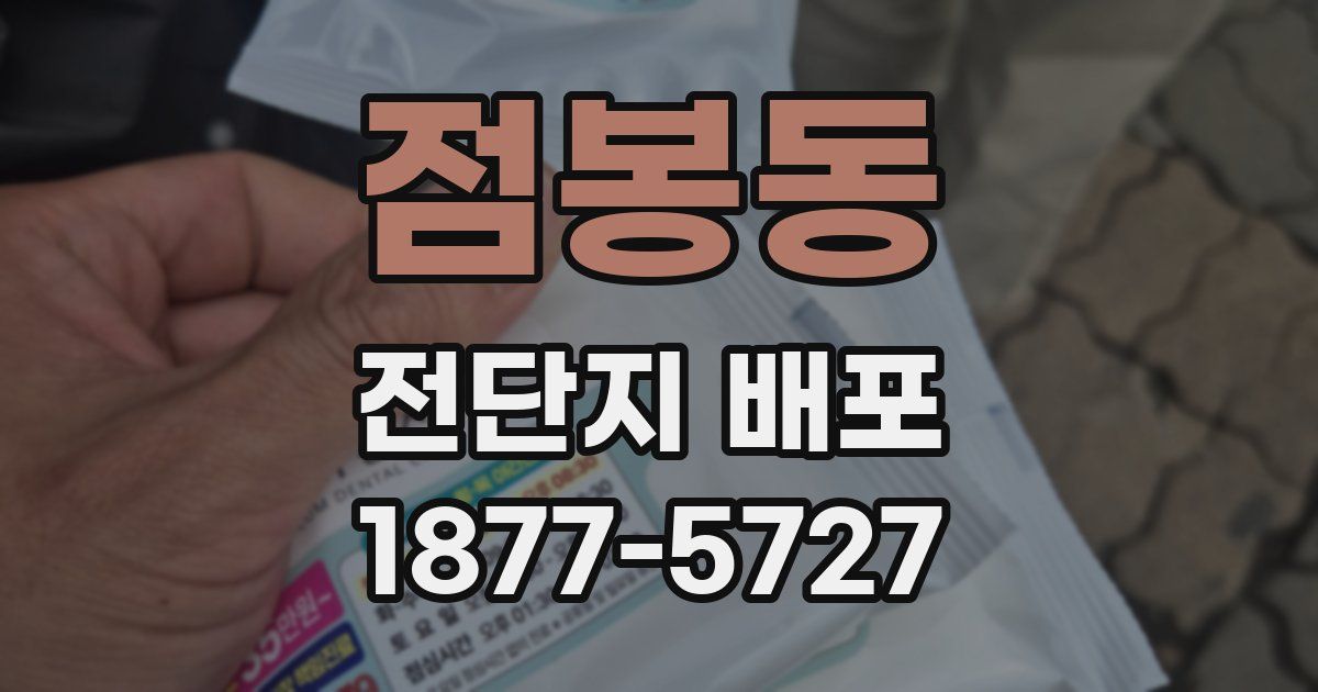 점봉동 전단지 배포