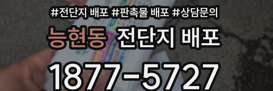 능현동 전단지 배포