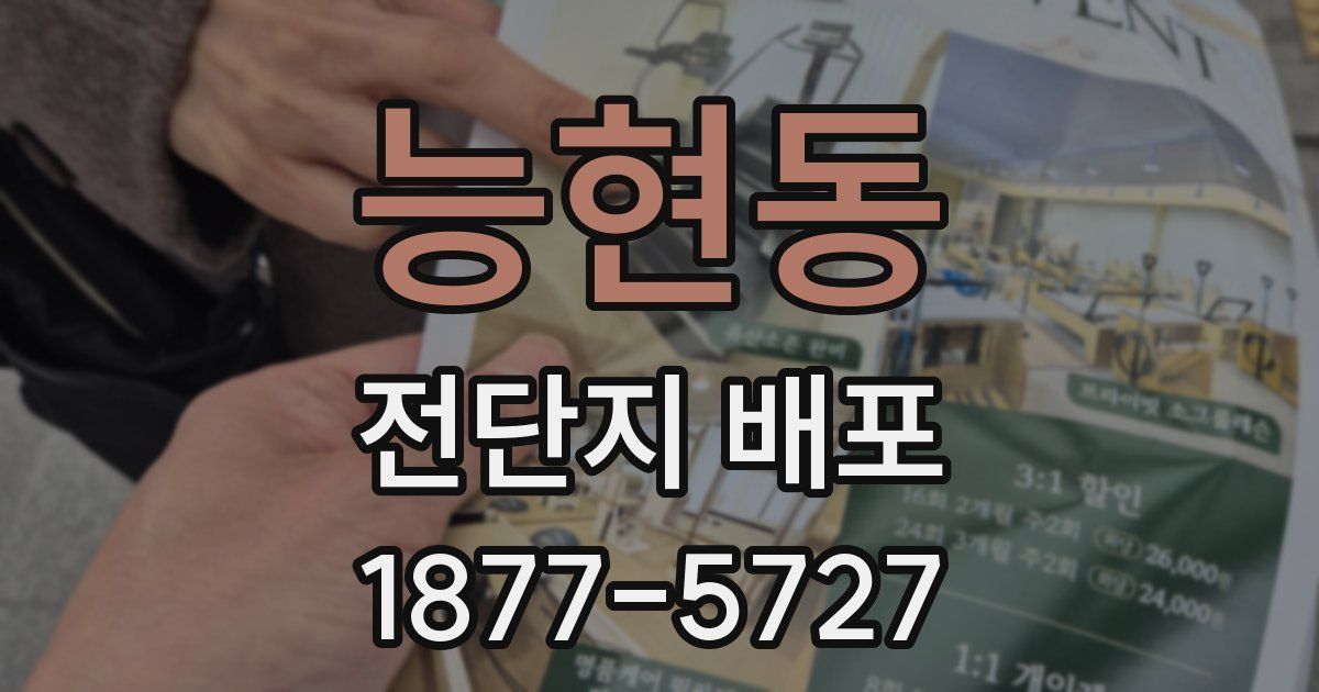 능현동 전단지 배포