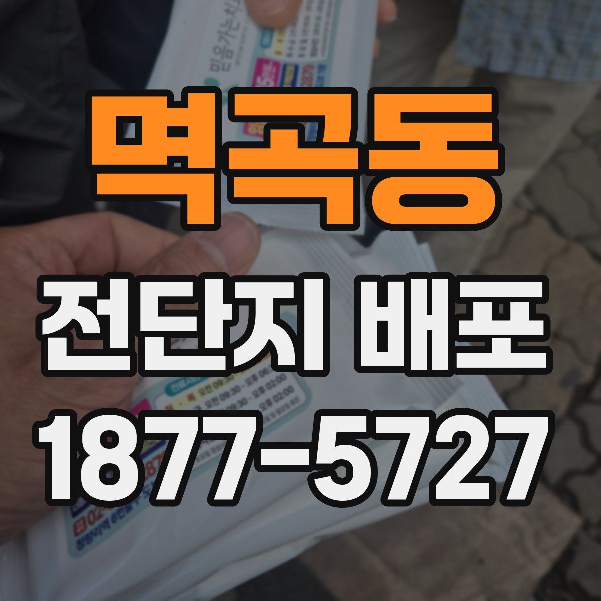 멱곡동 전단지 배포
