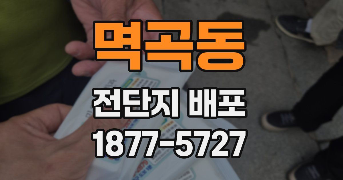 멱곡동 전단지 배포