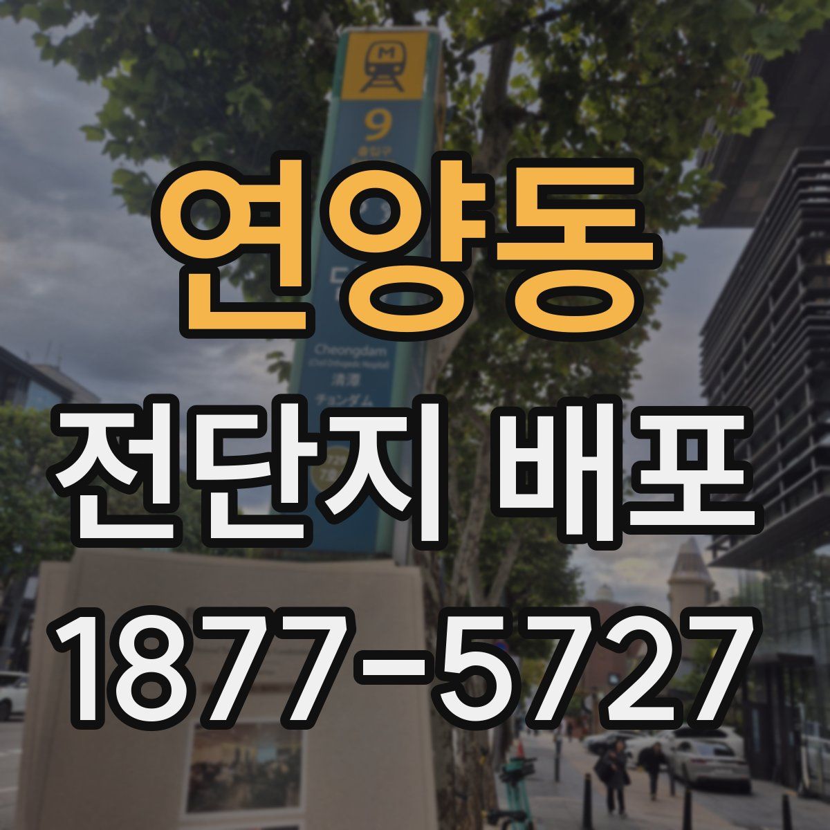 연양동 전단지 배포
