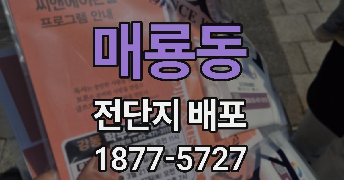 매룡동 전단지 배포