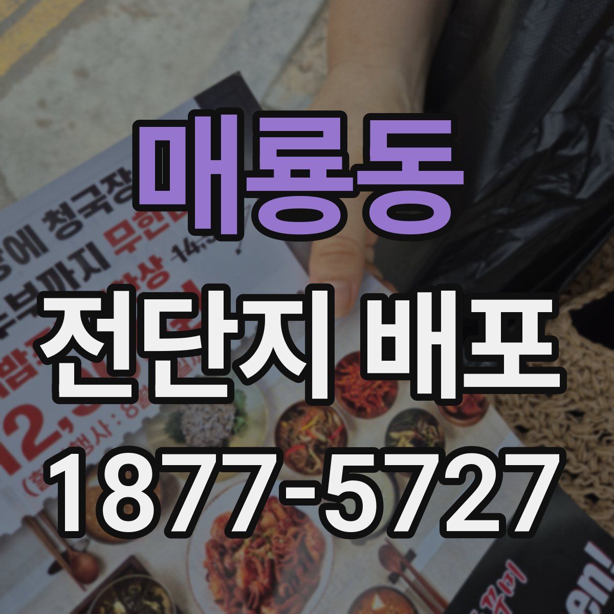 매룡동 전단지 배포